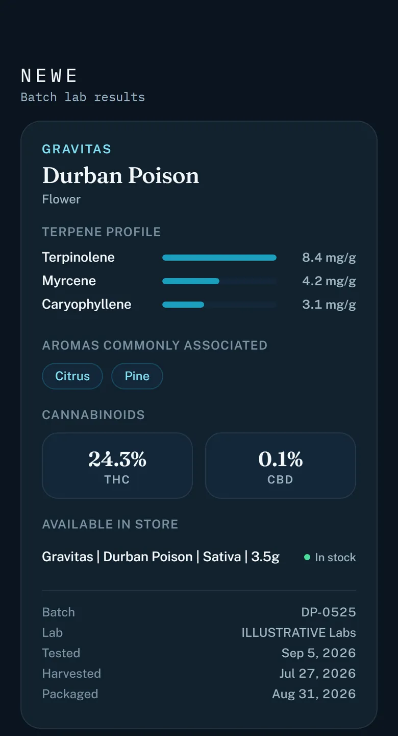 Terp Scan on the Newe app: a batch's lab card, Durban Poison by Gravitas, terpinolene 8.4 mg/g, myrcene 4.2, caryophyllene 3.1, THC 24.3%, CBD 0.1%, batch DP-0525.